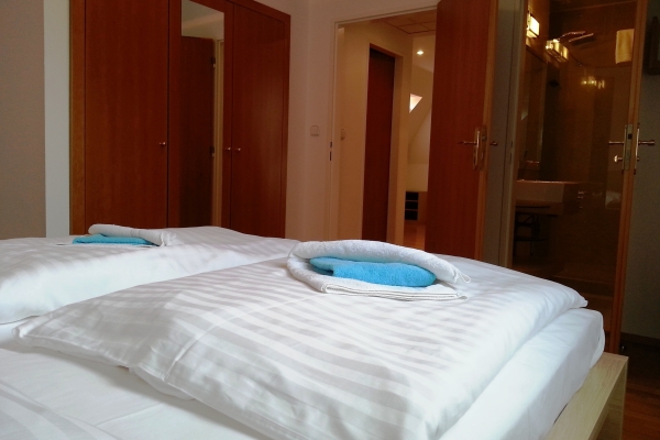 Hotel Villa Ostrava 3+